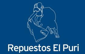 Repuestos el Puri
